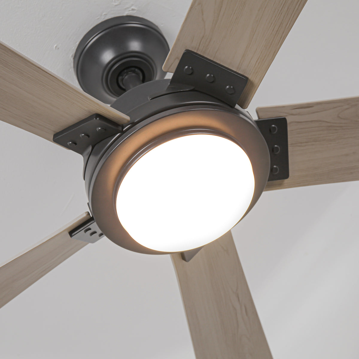 Close-up of a modern ceiling fan with light wood blades and an integrated light fixture.