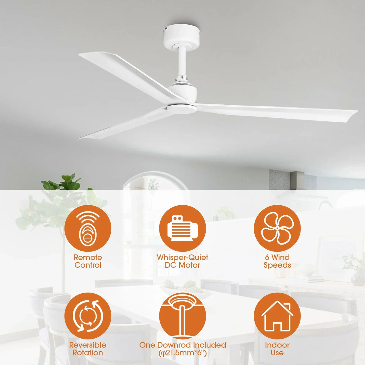 50 Inch Erica Modern Downrod Mount Ceiling Fan with Remote Control