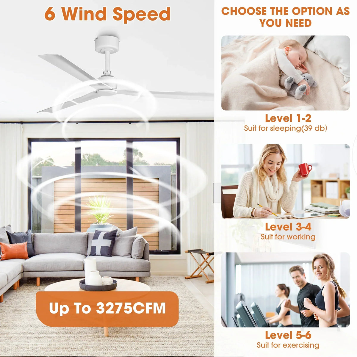 50 Inch Erica Modern Downrod Mount Ceiling Fan with Remote Control