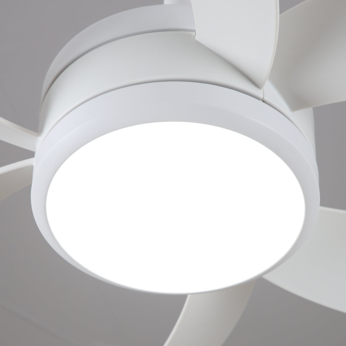42-Inch 52-Inch Modern Loop-Blade LED Ceiling Fan