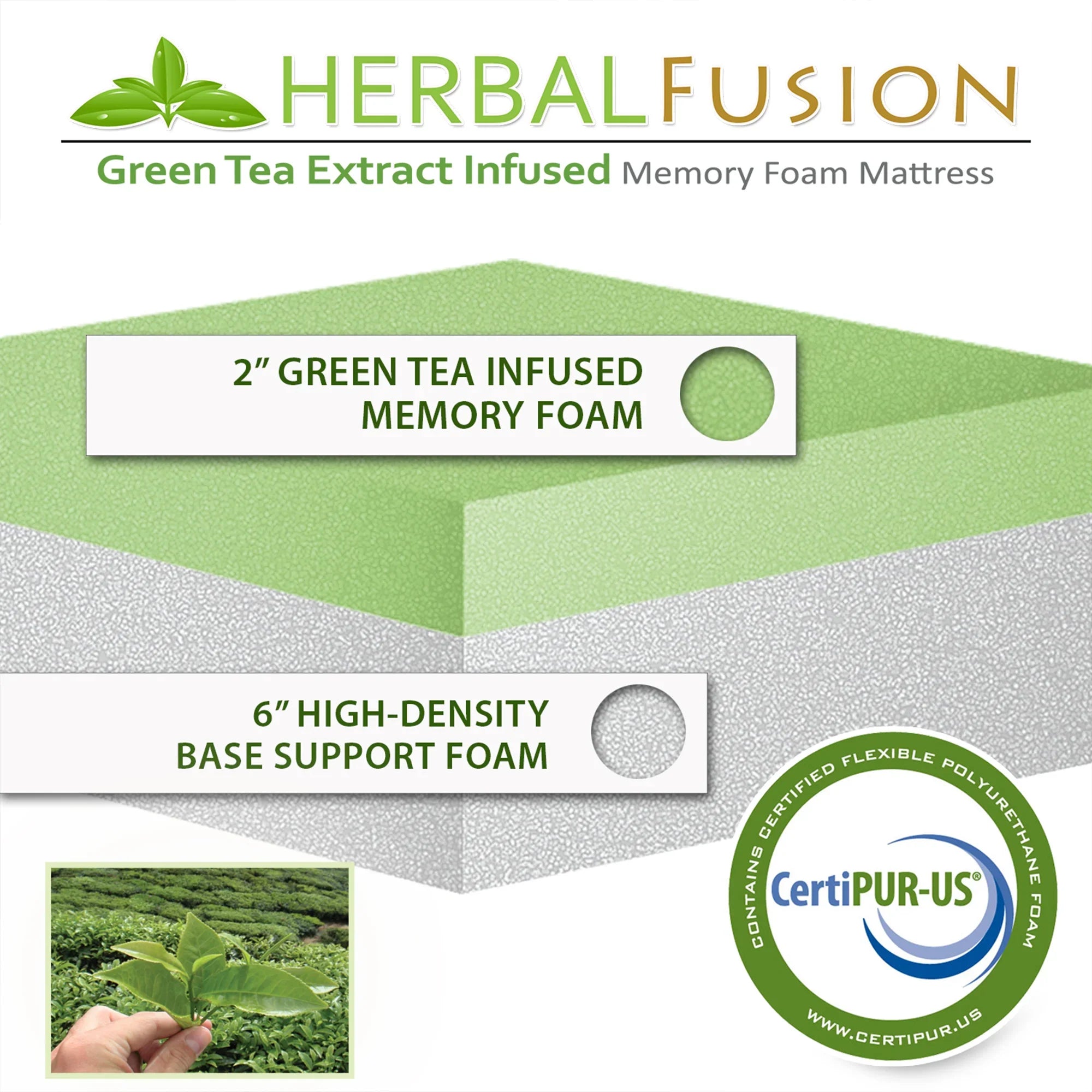 8 Inch Herbal Fusion Green Tea-Infused Polyester Memory Foam Queen Mattress