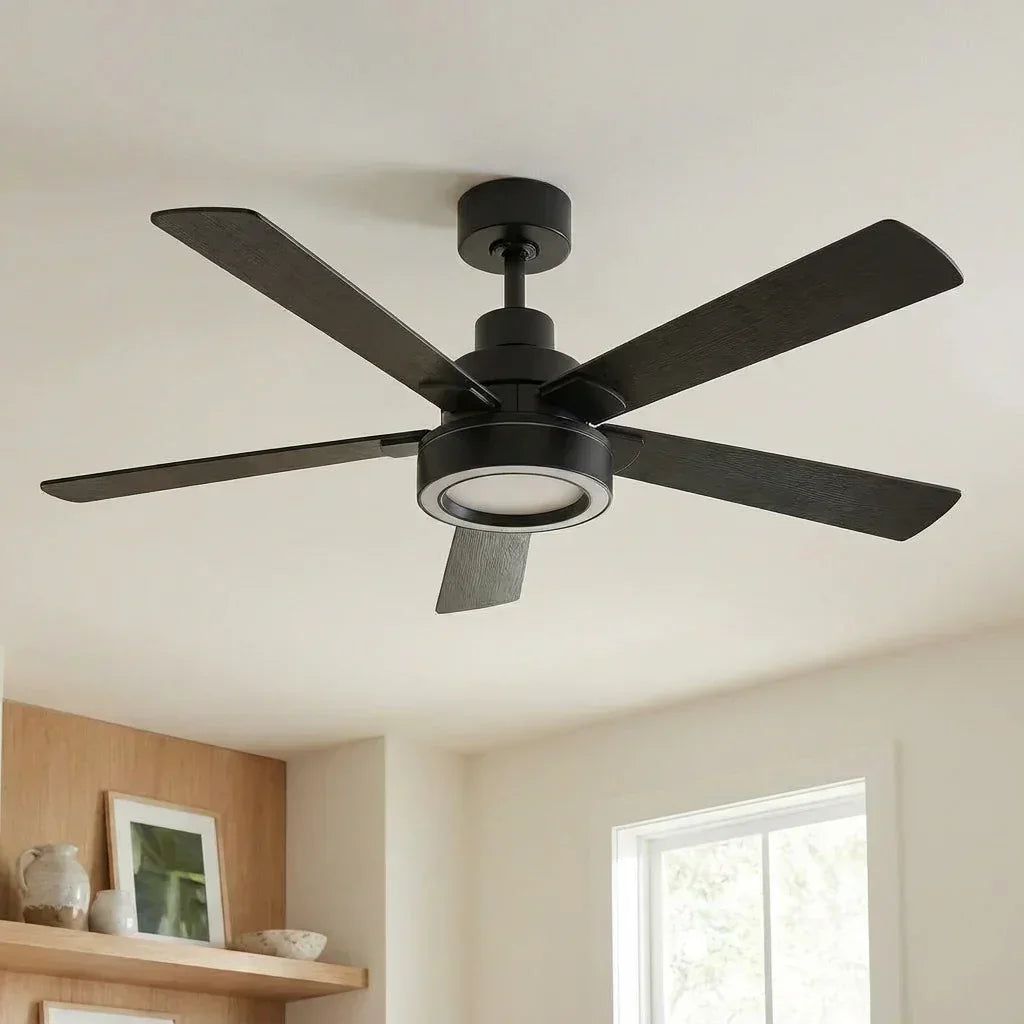 Vaczon 52 Inch 60 Inch Karen Double-sided Blades Smart Fan with LED Light