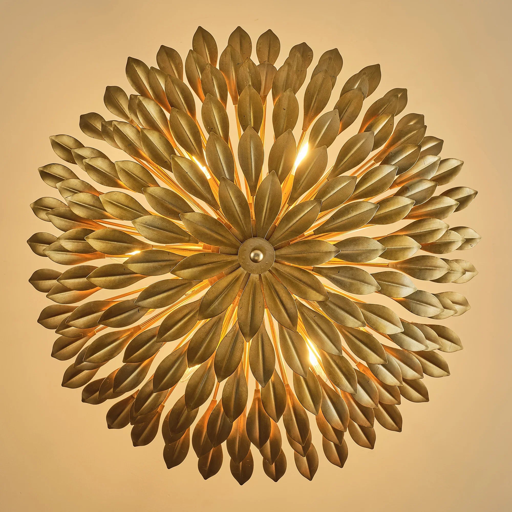 22 Inch Verna Farmhouse 6-Light Golden Chandelier
