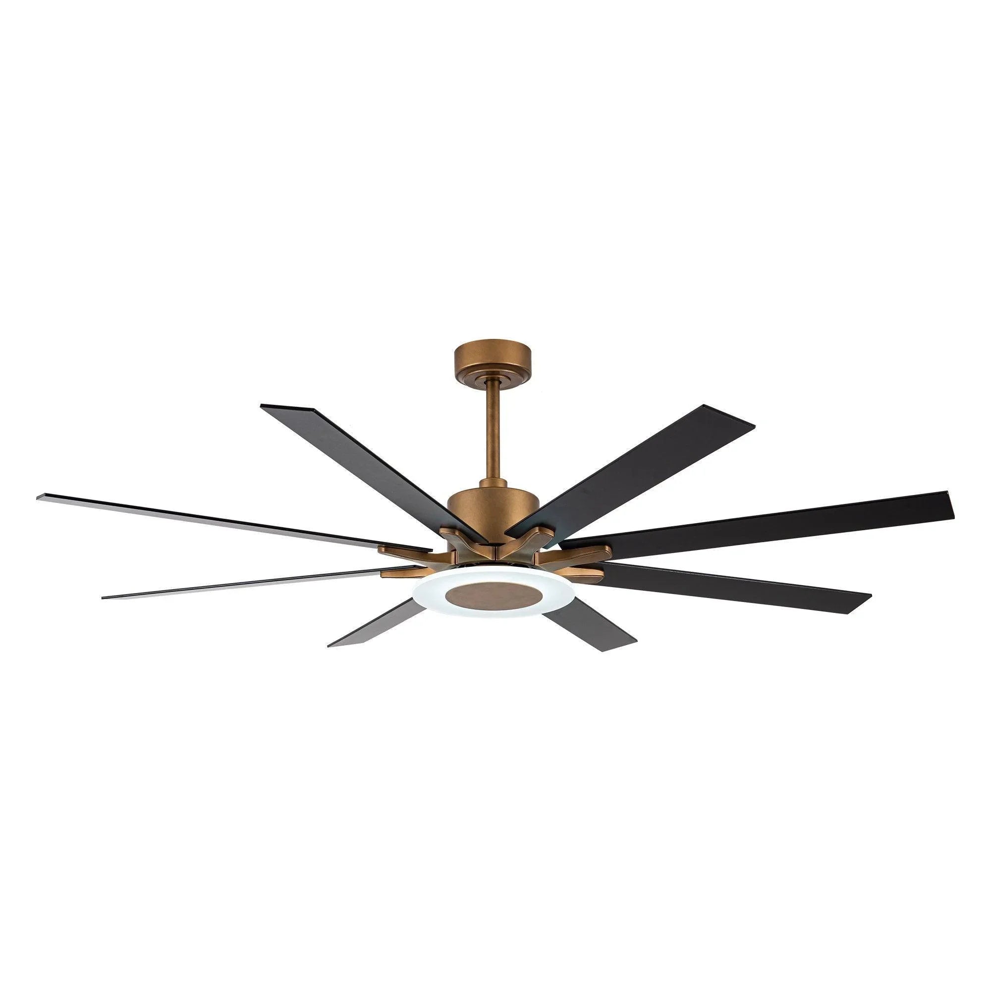 65" Modern Downrod Mount Reversible Ceiling Fan with Led Lighting and Remote Control