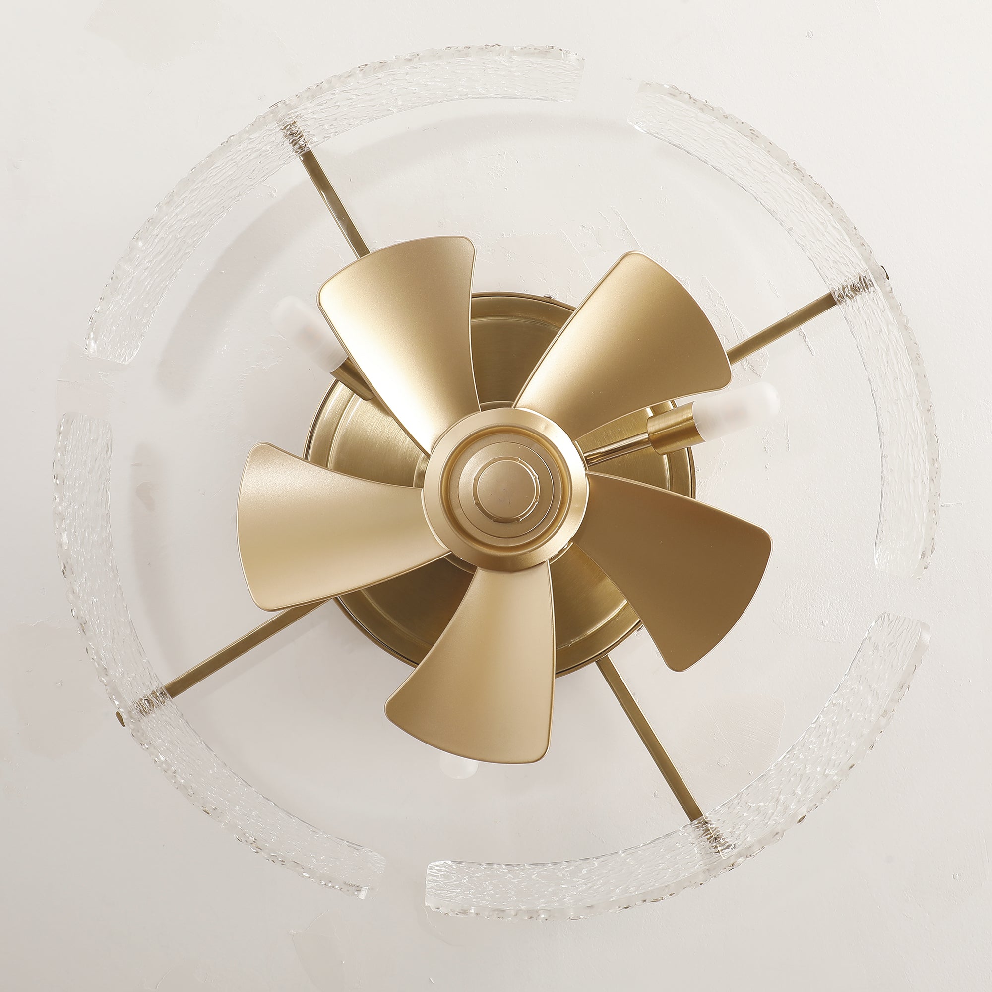 F8298S20